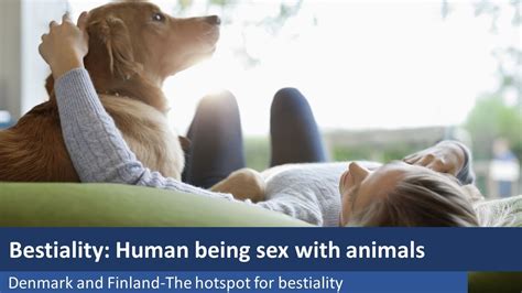 free sex with animals movies|Free Animal Porn Videos and Bestiality Clips .